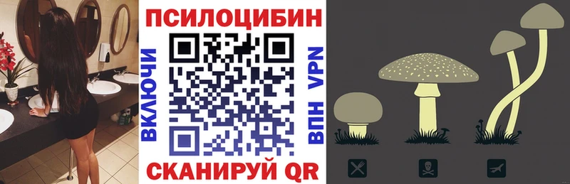 Купить  Армянск  Галлюциногенные грибы GOLDEN TEACHER 